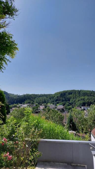 Apartment Talblick Kandern Bagian luar foto